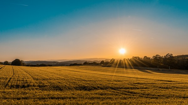 Farm field sunset